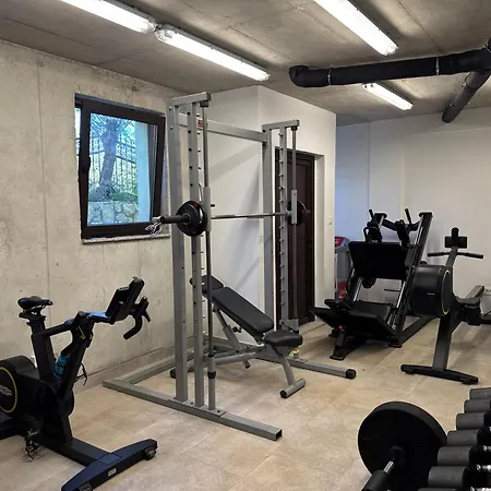 Apartment Lukas 2- Icici- Pool, Gym, Near Opatija *